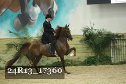24R13_17360 thumbnail