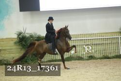 24R13_17361 thumbnail