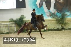 24R13_17362 thumbnail