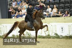 24R13_17364 thumbnail