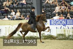 24R13_17365 thumbnail