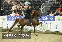 24R13_17366 thumbnail
