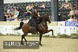 24R13_17367 thumbnail