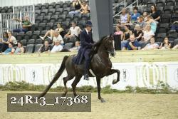 24R13_17368 thumbnail