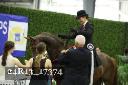 24R13_17374 thumbnail
