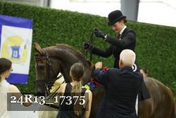 24R13_17375 thumbnail