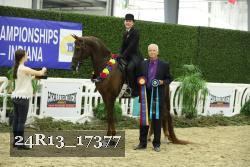24R13_17377 thumbnail