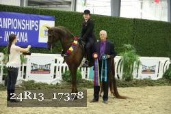 24R13_17378 thumbnail