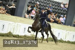 24R13_17379 thumbnail
