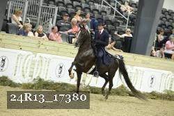24R13_17380 thumbnail