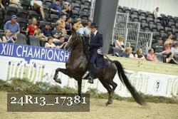 24R13_17381 thumbnail