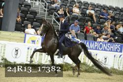 24R13_17382 thumbnail