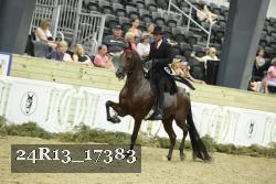 24R13_17383 thumbnail
