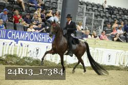 24R13_17384 thumbnail