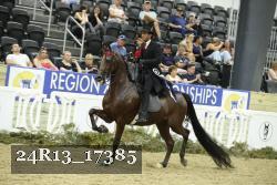 24R13_17385 thumbnail