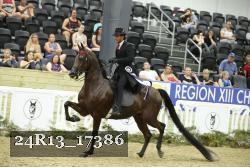 24R13_17386 thumbnail
