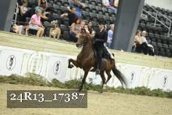 24R13_17387 thumbnail