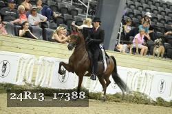 24R13_17388 thumbnail