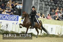 24R13_17389 thumbnail