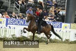 24R13_17390 thumbnail