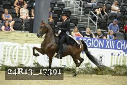 24R13_17391 thumbnail