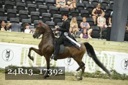 24R13_17392 thumbnail
