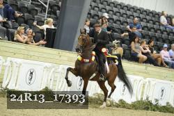 24R13_17393 thumbnail