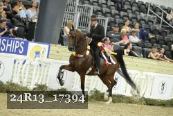 24R13_17394 thumbnail
