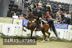 24R13_17395 thumbnail