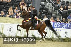 24R13_17396 thumbnail