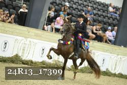 24R13_17399 thumbnail