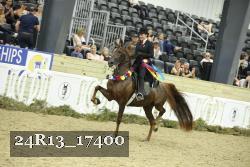24R13_17400 thumbnail