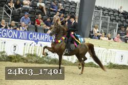 24R13_17401 thumbnail
