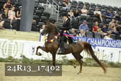 24R13_17402 thumbnail