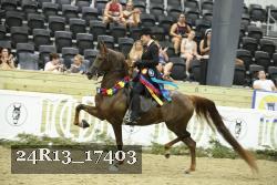 24R13_17403 thumbnail