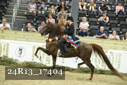 24R13_17404 thumbnail