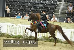 24R13_17405 thumbnail