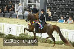 24R13_17406 thumbnail