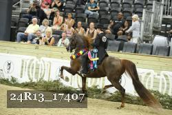 24R13_17407 thumbnail