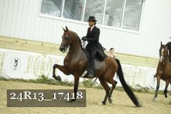 24R13_17418 thumbnail