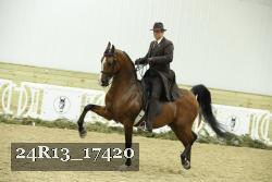 24R13_17420 thumbnail