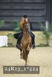 24R13_17424 thumbnail