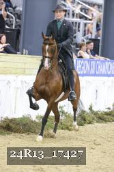 24R13_17427 thumbnail
