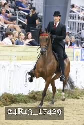 24R13_17429 thumbnail