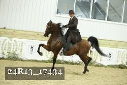 24R13_17434 thumbnail