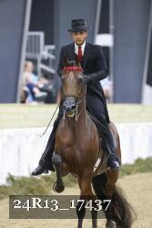 24R13_17437 thumbnail