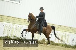 24R13_17441 thumbnail