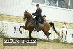 24R13_17442 thumbnail