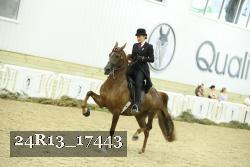 24R13_17443 thumbnail
