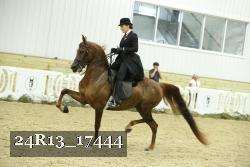 24R13_17444 thumbnail